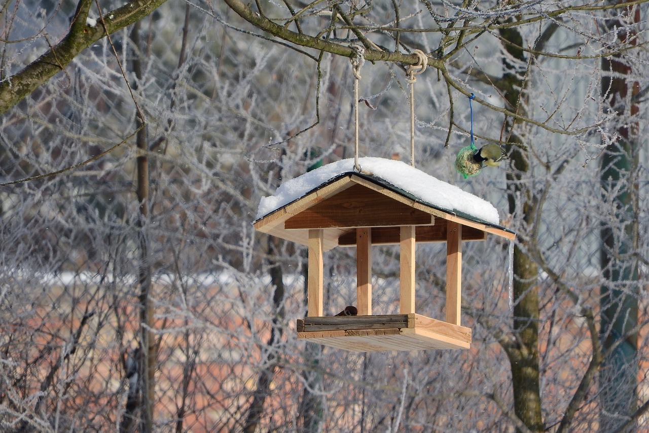 Making DIY Bird Feeders with the Kids